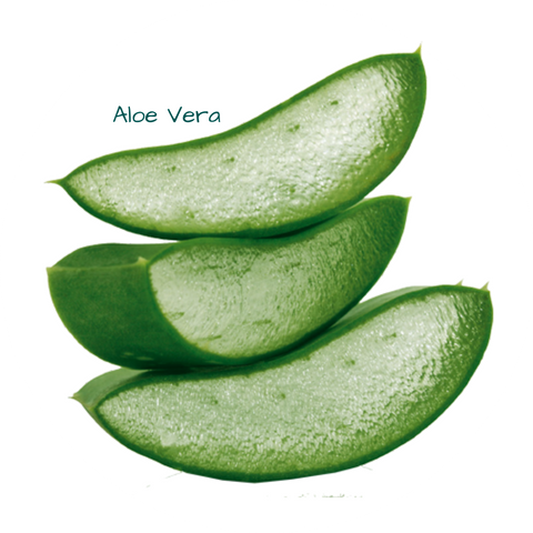 Bơ dưỡng thể (Body butter) Remedial Green Tea 200gr
