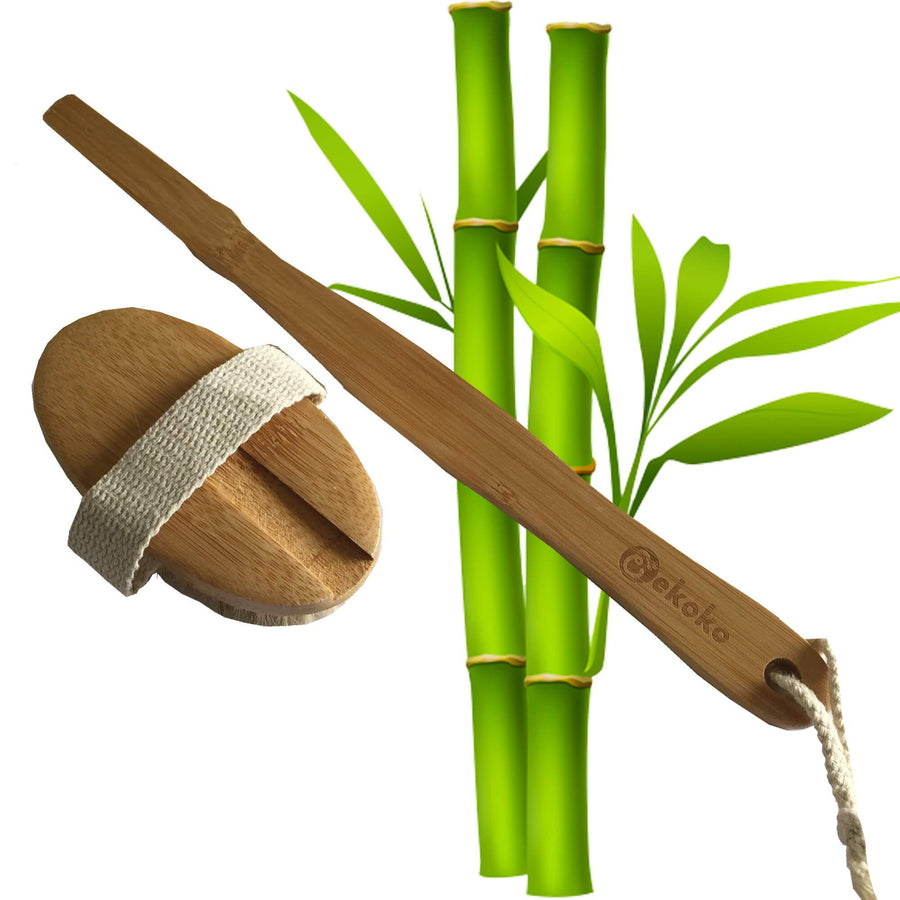 Bàn chải cọ lưng
