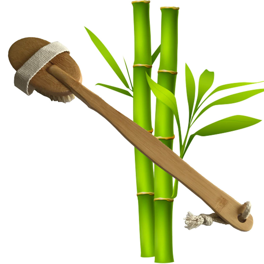 Bàn chải cọ lưng