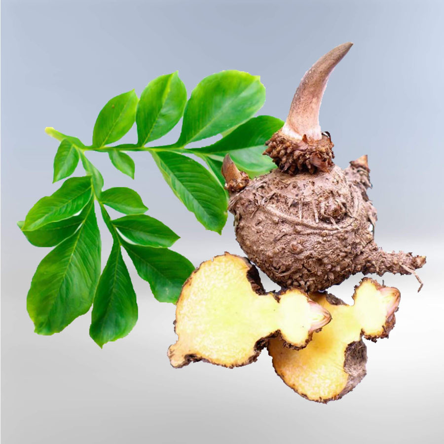 Bông rửa mặt Konjac Than hoạt tính