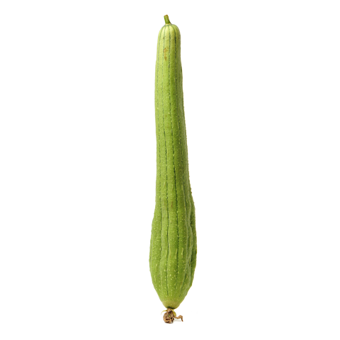xơ mướp