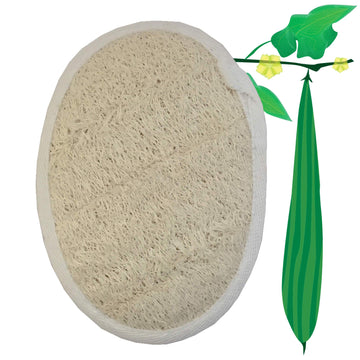 Bông xơ mướp, Loofah buff