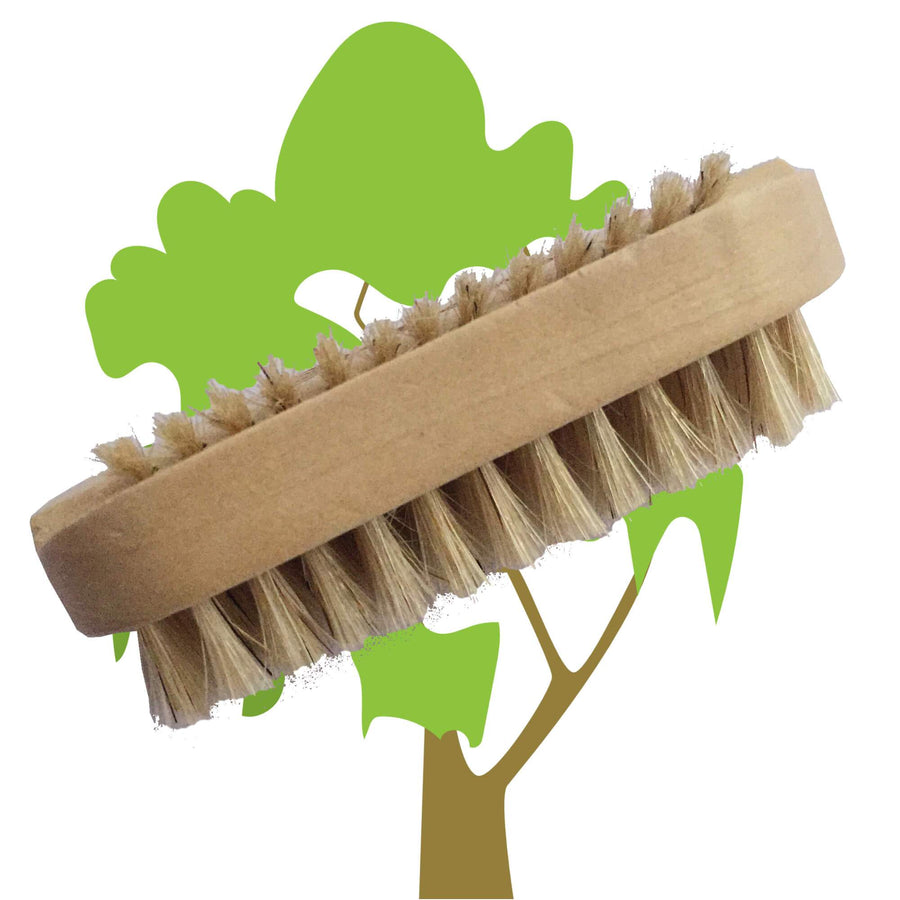 Nail brush