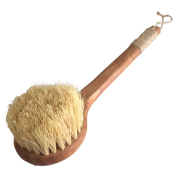 Bàn chải tắm khô, cọ lưng Vegan - Cactus bristles dry brush