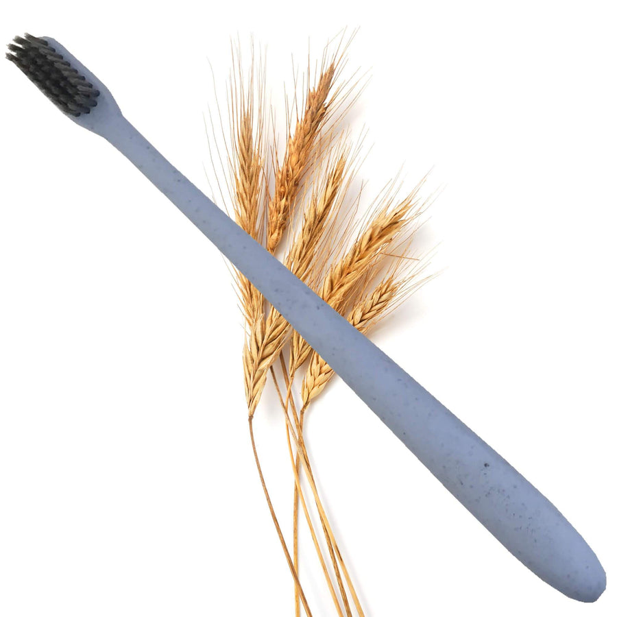 Bàn chải lúa mạch - Wheatstraw toothbrush