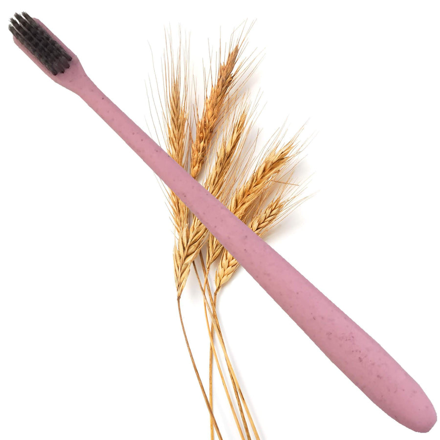 Bàn chải lúa mạch - Wheatstraw toothbrush