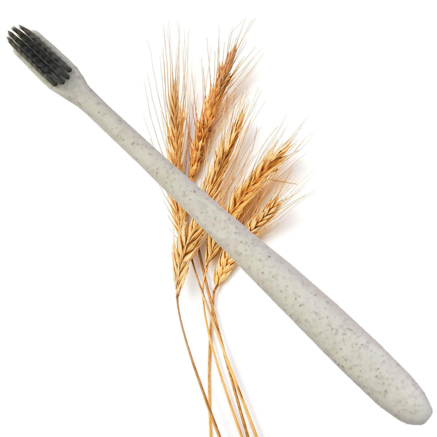 Bàn chải lúa mạch - Wheatstraw toothbrush